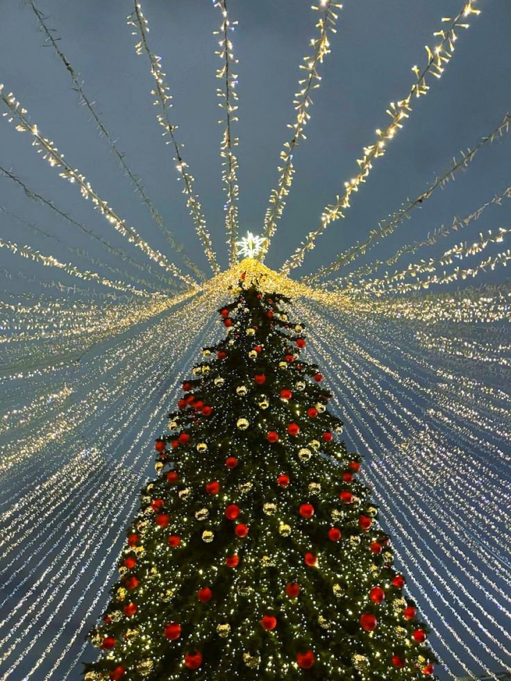 Rol Band tweet media