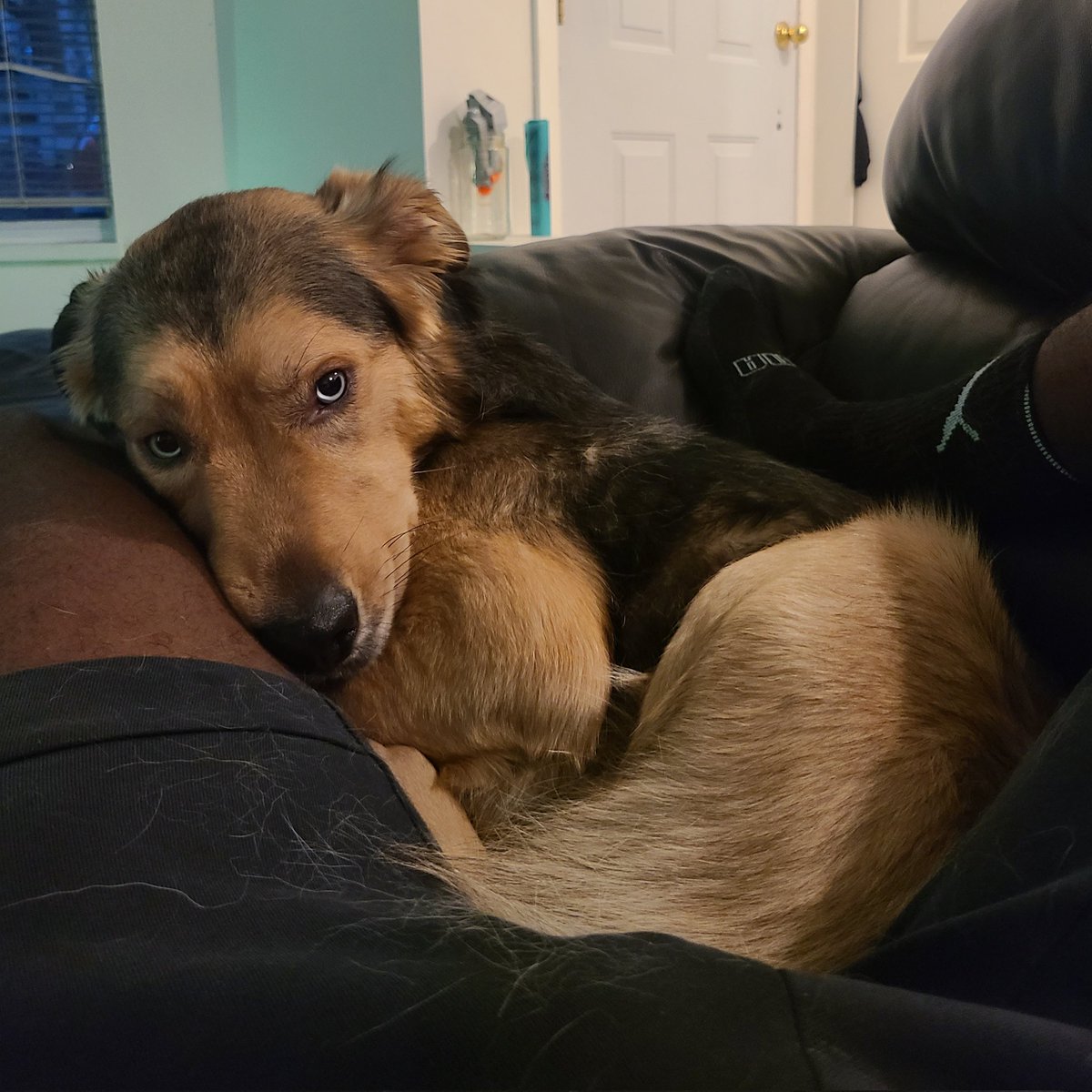 Prince Nii Engmann tweet media