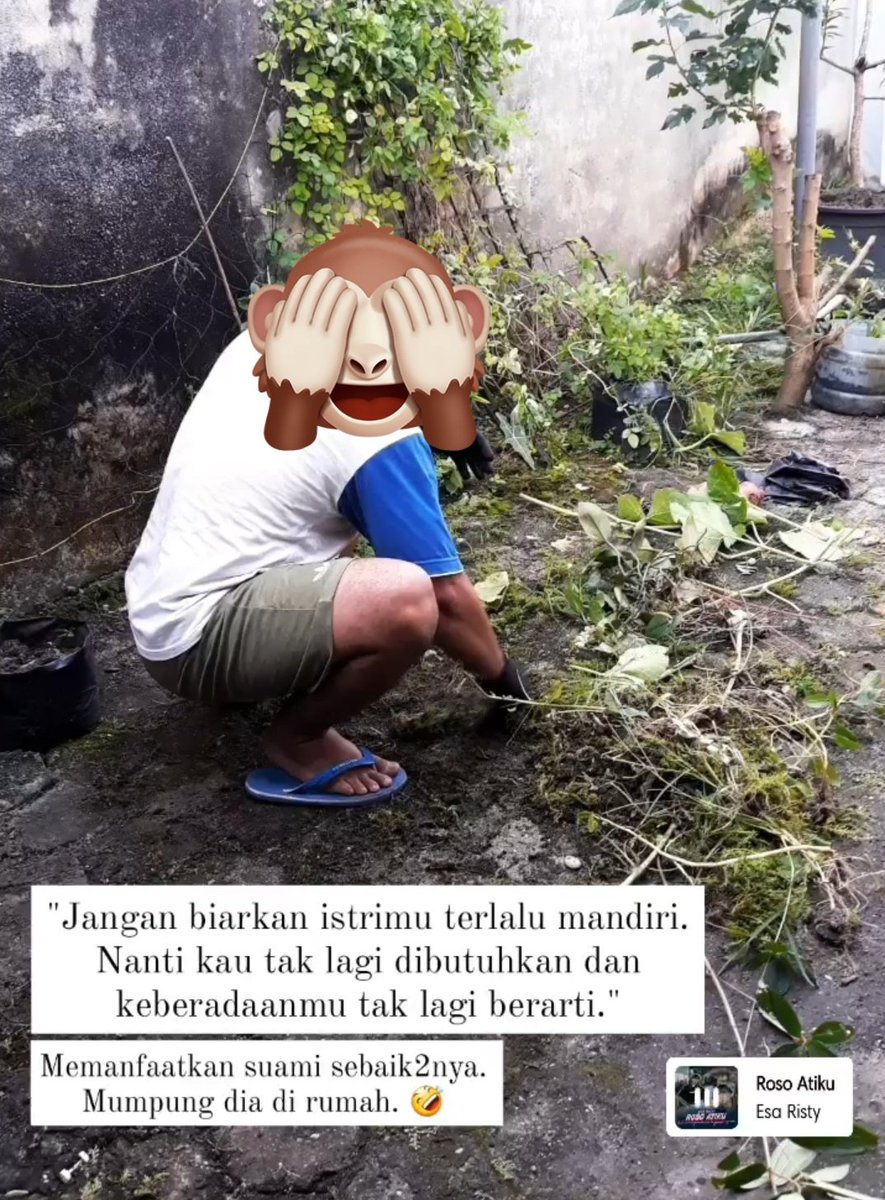 chaneesha's tweet photo. Pengen sih,, tapi boro2 mau nyabutin rumput.. Bukain gembok aja udah alhamdulillah mah 😪
Yok bisa yok mandiri 💪🏻
*fotodiambildaristorytemen* https://t.co/vXKn0jIWFj
