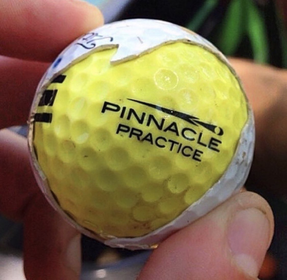 Flushing It tweet media