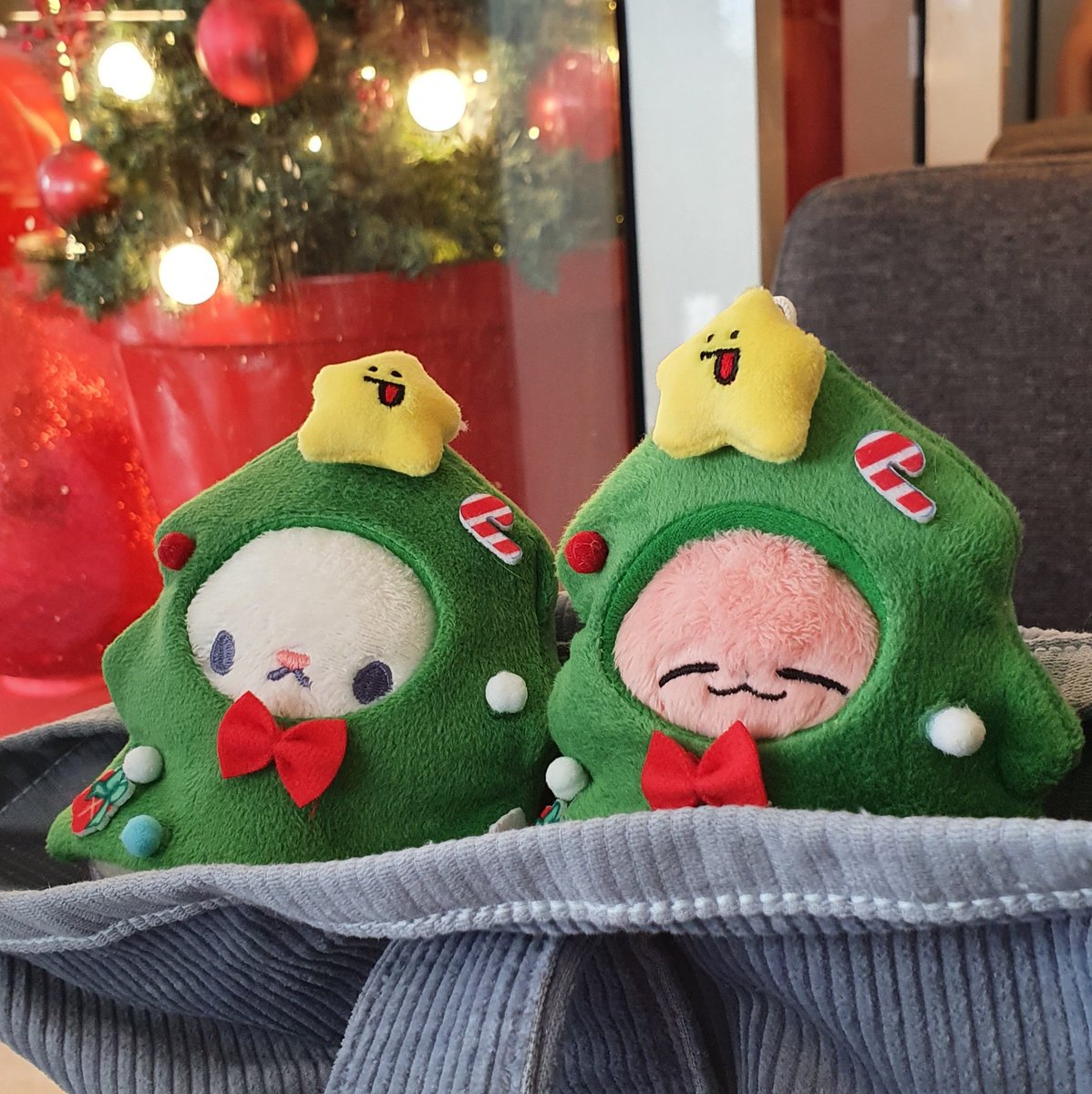 yulovelicky's tweet image. happy holidays! 🎄

took pics and had our comfort drinks @breadjaecrumbs @yutasbbygirl 🤍