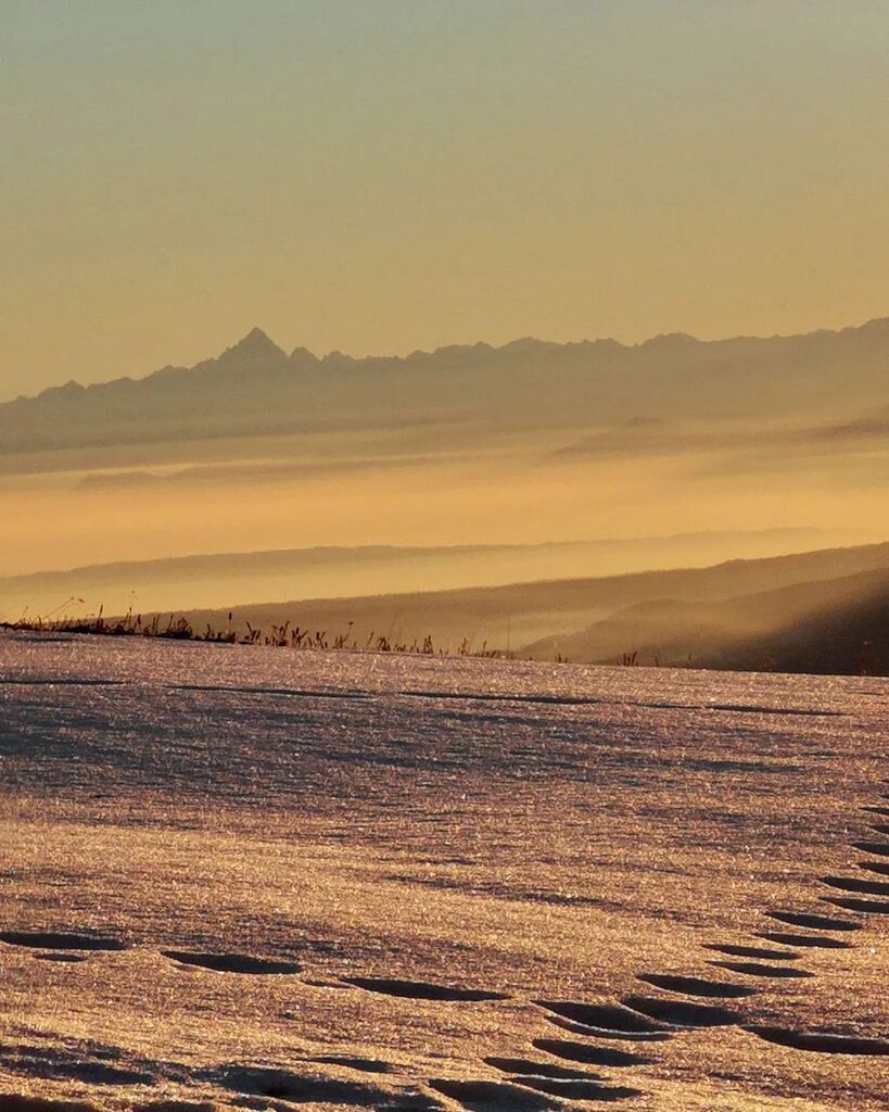 ig_piemonte's tweet photo. presenta
🗻Oasi Zegna
📍#Trivero
AUTORE @manliopizzato
MOD @lauradistrattta @alicetticola
ADMIN @berenguez
TAG #ig_piemonte #piemonte
MAIL piemonte@igworldclub.it
SOCIAL
· https://t.co/e3pQ6zcRUA
· Twitter ig_piemonte
HUB @igworldclub
COUNTRY @ig_italia
TEAM @ig_pi… https://t.co/uePhXIXD23