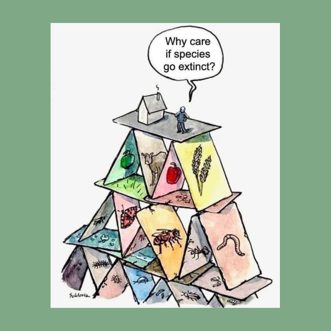 This piece by German artist #Schloriz speaks volumes 🌎 

"We are not apart from the natural world — we are a part of it. It's far time we heal our relationship with Nature and recognize the value of all life on Earth." - words by <a href="/GreenpeaceCA/">Greenpeace Canada</a> 
 
#ProtectNature #ProtectEarth