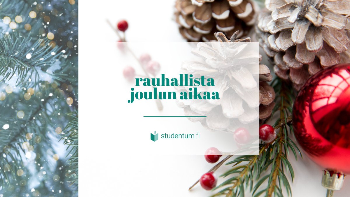 studentum.fi toivottaa rauhallista joulun aikaa! 🎄

✨ #studentumfi #joulu #joulutoivotus