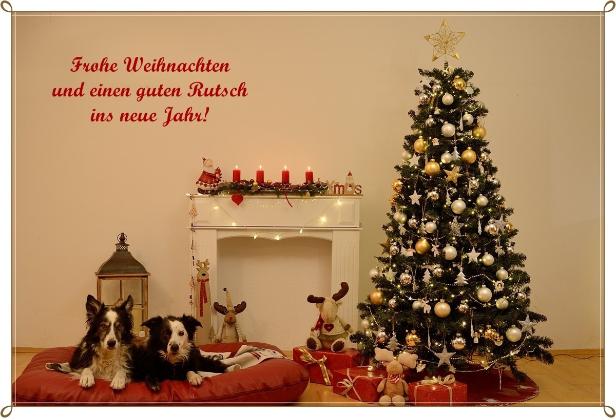 Das Netzwerk Fotografie wünscht dir frohe Weihnachten und ein gutes neues Jahr 2023!