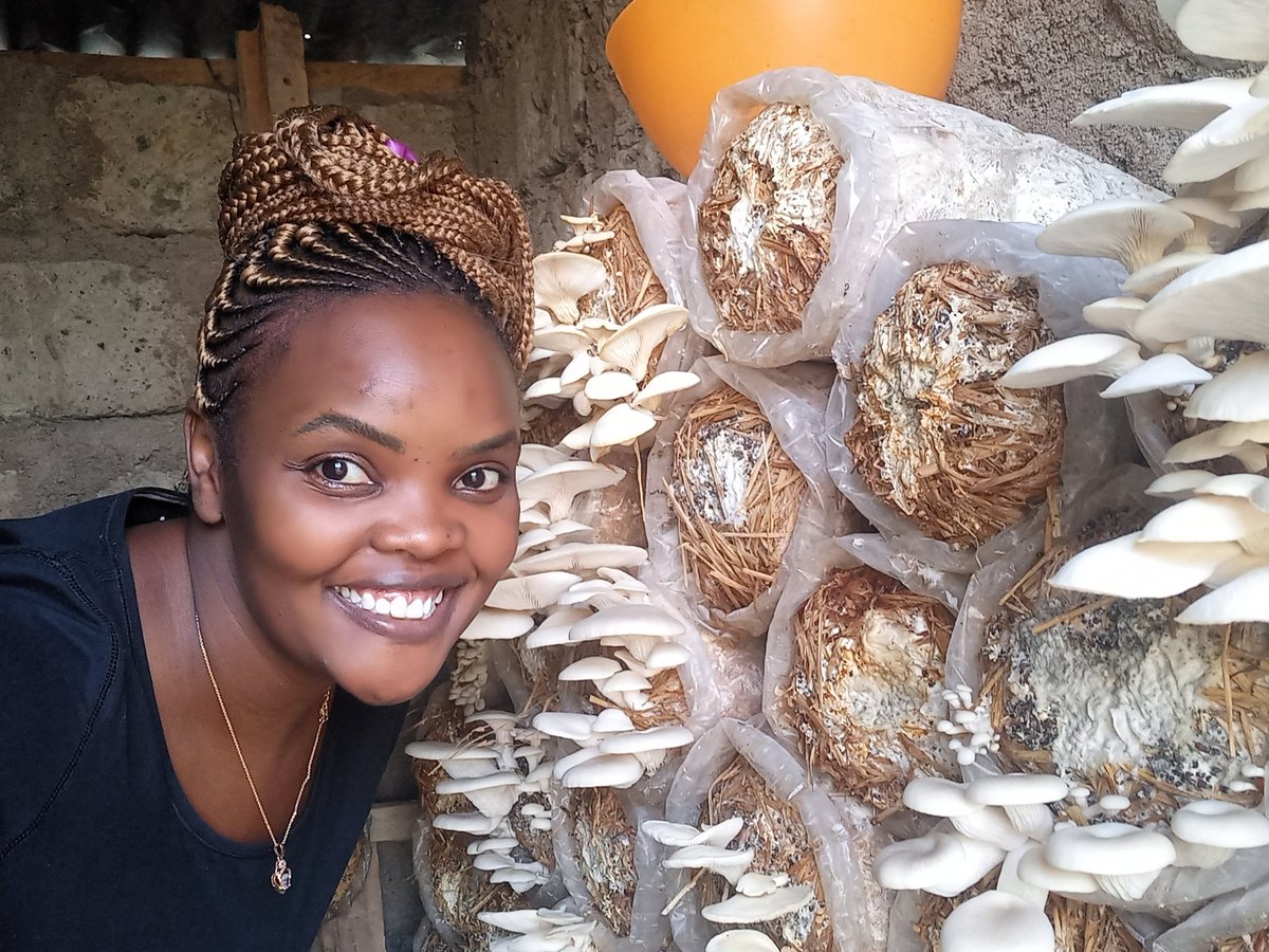farmeronfire1's tweet photo. Good Morning. Feeling #festivefun

Did you know mushroom is both a Vegetable and Protein?? 

Lets go make some yummy 😋 😜 breakfast for the entire clan

Karibuniii

#MapemaNdioBest #mushroomhead #mushroomtwitter #FoodFriday #Vegan #kenyaeconomicupdate #Narok #bosslady https://t.co/602vuZnvMr