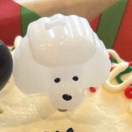 서라언니는강아디