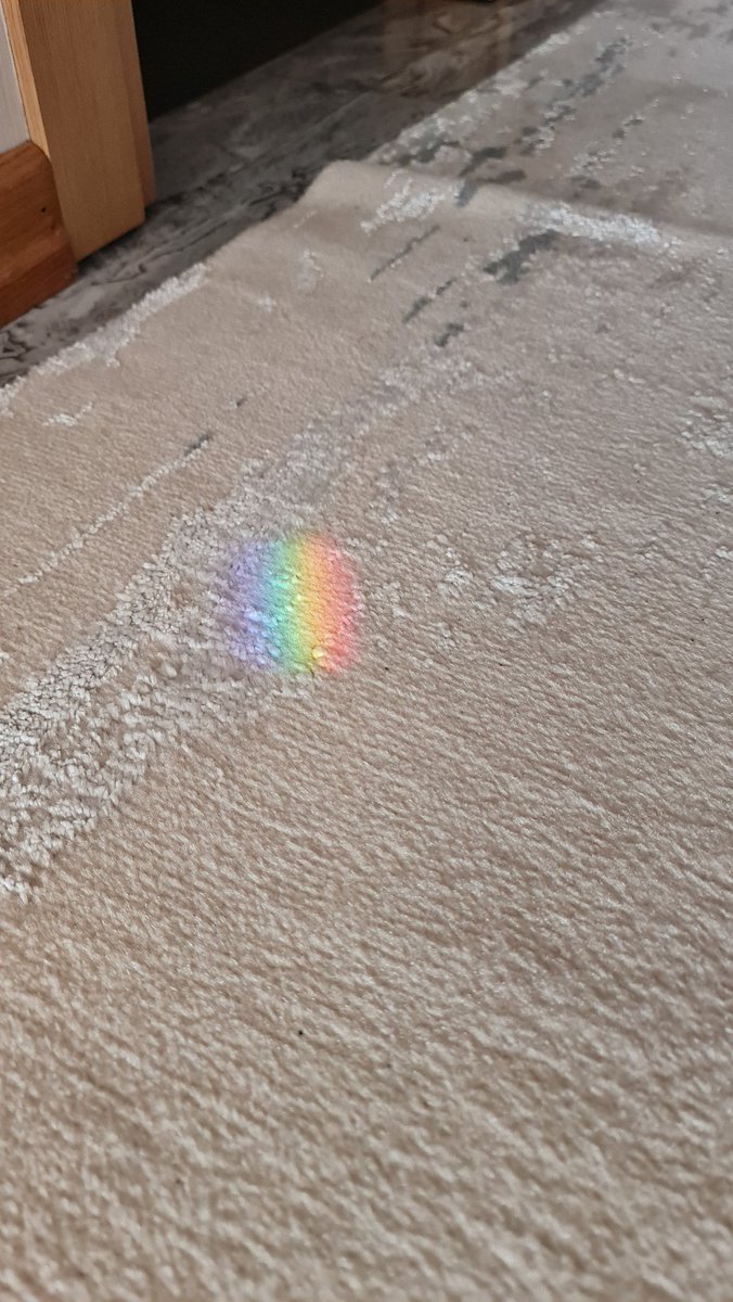 benkaptansu's tweet photo. GM fam🌈 https://t.co/XjmERHYcL0