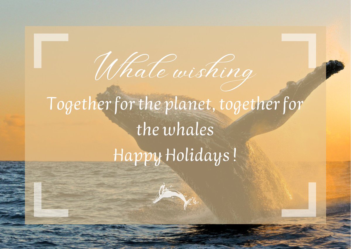 🐳 Let us protect more whales for the upcoming year !🐳
🎄Happy Holidays everyone ! 🎄