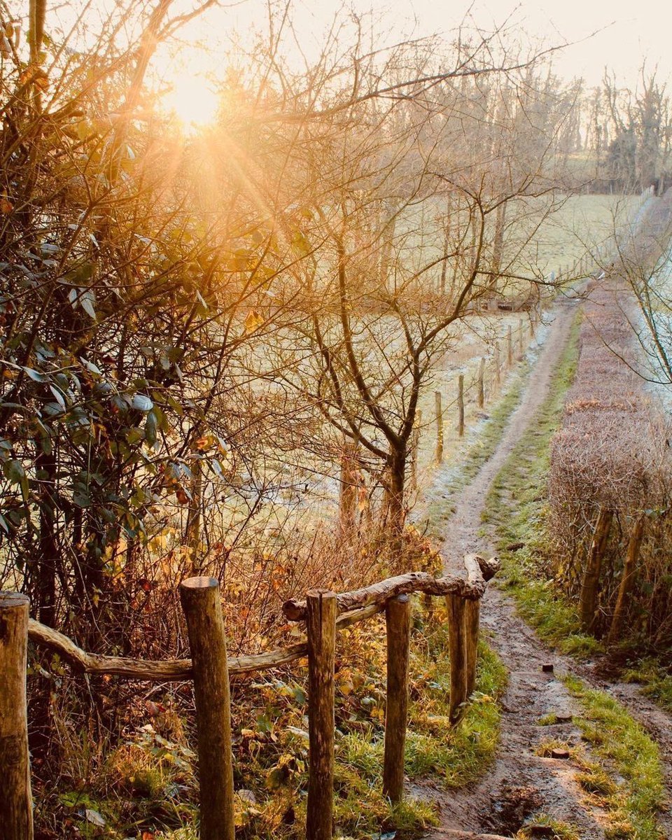 Schinnen #MagnifiekZL
📸: fotosvanpam - Instagram