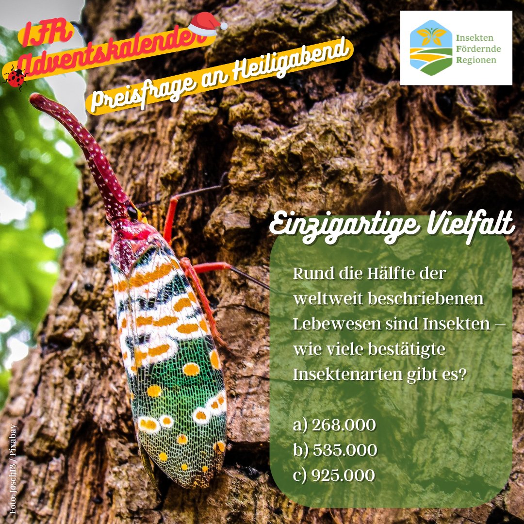 LIFE_IFR's tweet photo. #IFR #Adventskalender #Gewinnspiel! Holt euch ein Feinkostpäckchen von @baeuerliche: Post liken, Antwort als Kommentar hinterlassen und wir verlosen den Preis unter allen Teilnehmenden. Der/die Gewinner*in wird schriftlich benachrichtigt, der Rechtsweg ist ausgeschlossen. 🐞 https://t.co/bmoHIht5I2