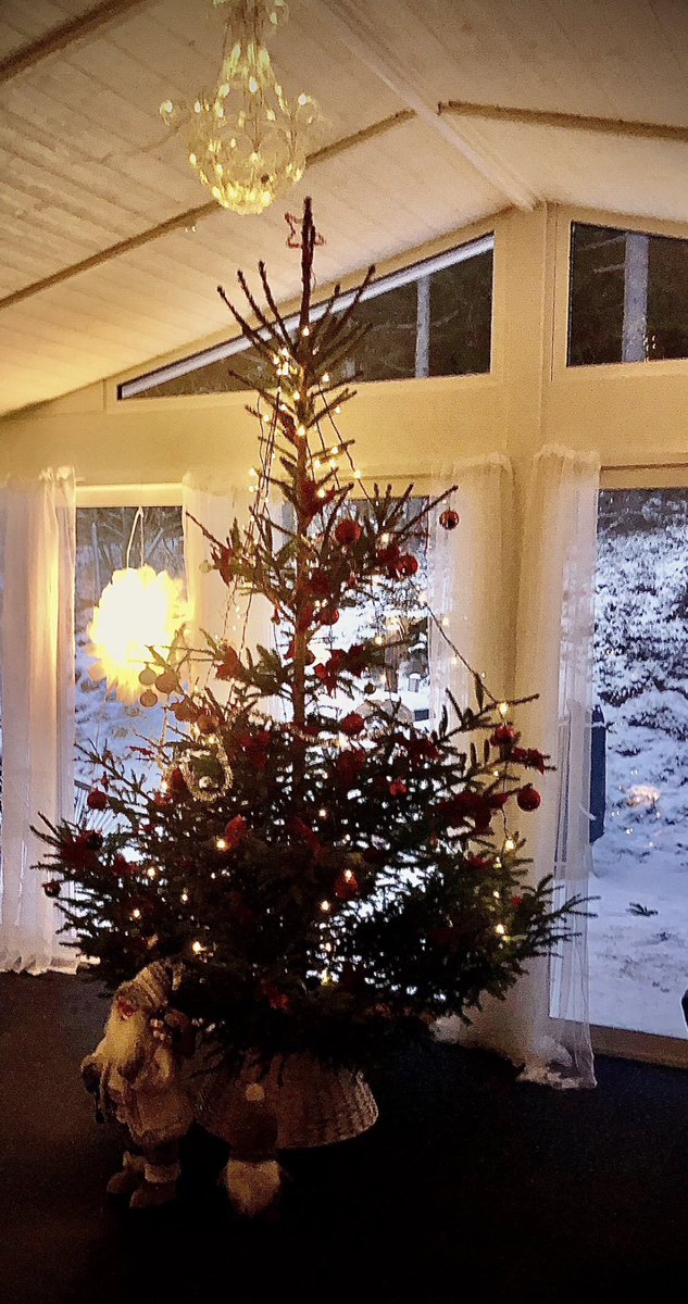 AlgotTheBerner 🇸🇪🇺🇦 tweet media