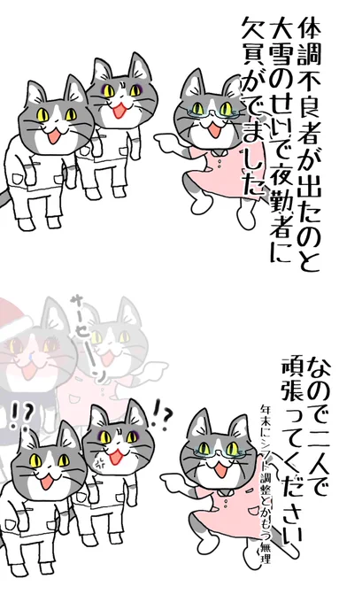 #現場猫 #看護師
メリークリスマス! 