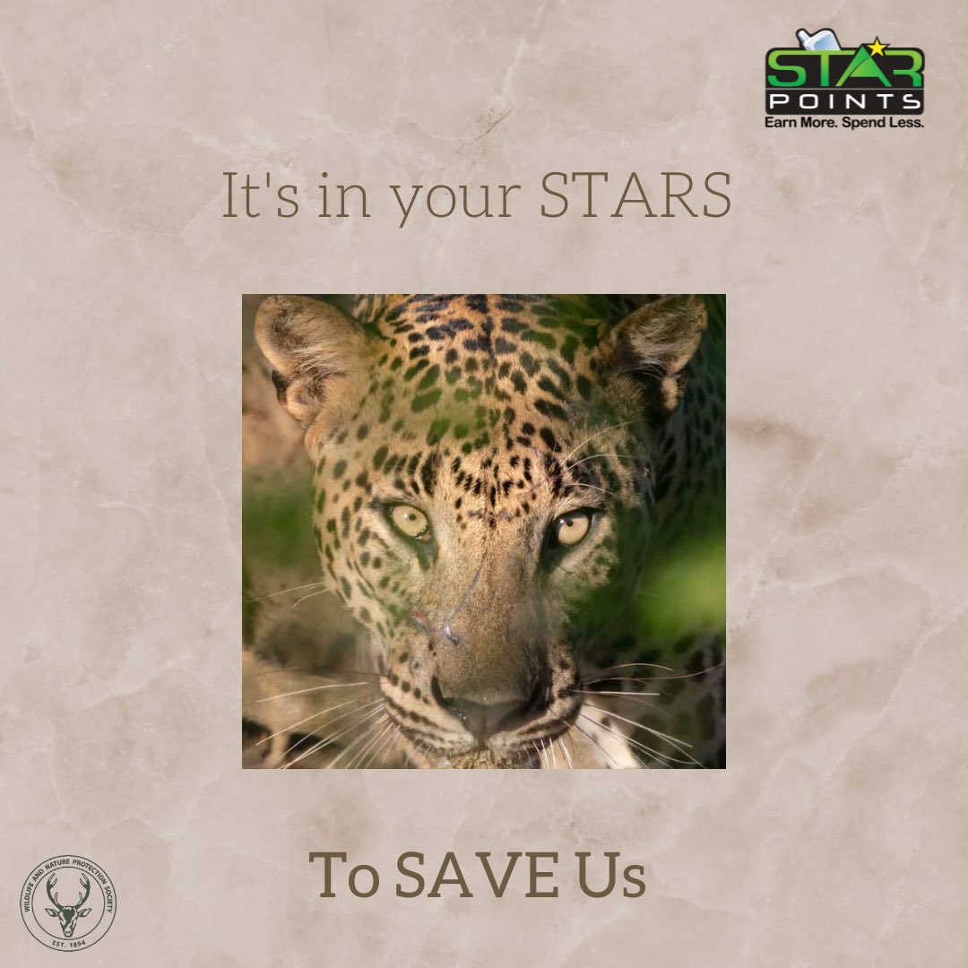 wnpssl's tweet photo. You can help us SURVIVE by not letting your STAR 🌟 POINTS EXPIRE
Please donate them to the Wildlife and Nature Protection Society today and help us see a brighter tomorrow.
https://t.co/ExcKeqmqGF
@dialoglk #starpoints https://t.co/KbQk10KiOZ