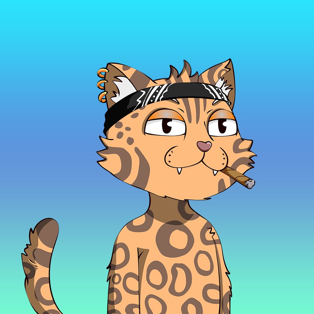 dopecatsbot's tweet photo. 🙀 SALES BOT GOES PURRRR

Dope Cat #164

💵 SOLD → 0.15 SOL ($1.71 USD)
🛒 https://t.co/X5A8Y5r9Y0

🥇 https://t.co/Cm8GFcK68k 
🧾 https://t.co/zsZZiFpPUj https://t.co/weCda8ss3O