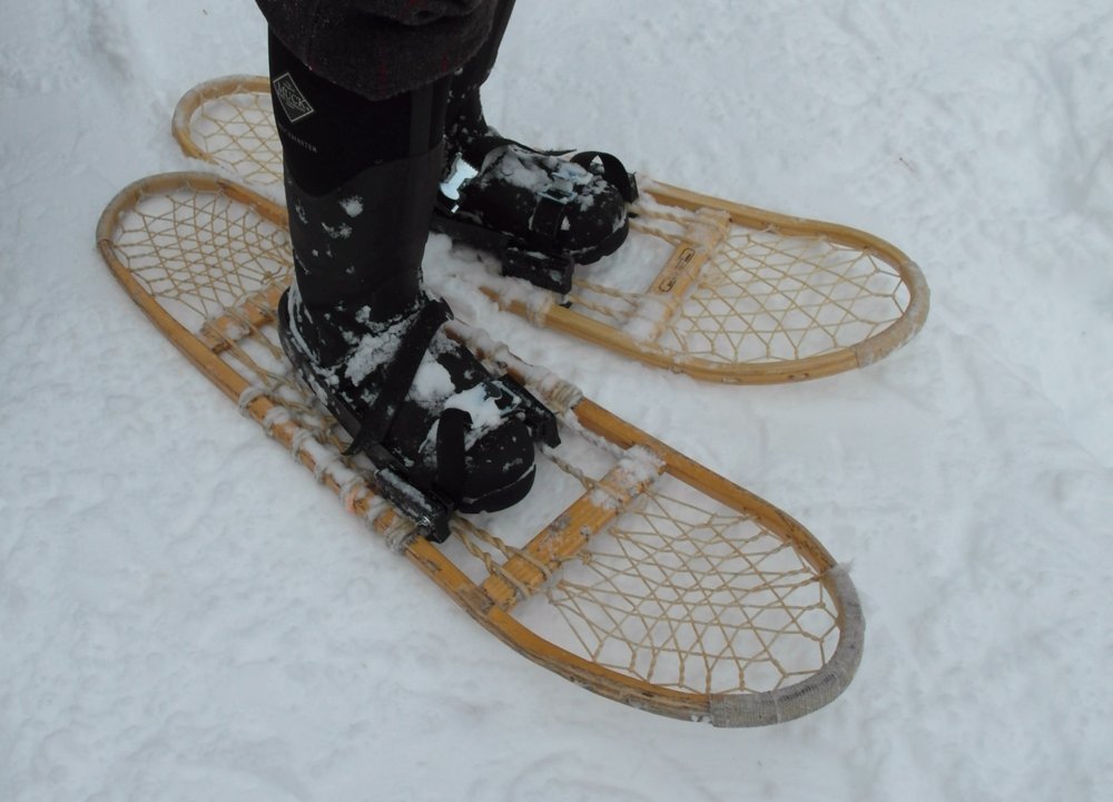 Keza on Twitter "RT coolsarathi124 They need to buy snow shoes first