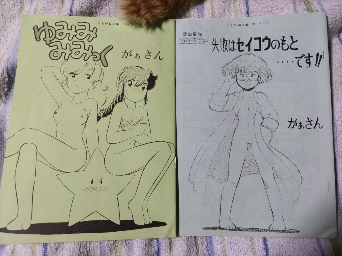 押入れ最深部より発掘されし者共。己れのエロマンガの原点。 