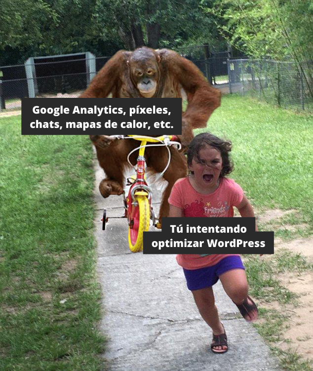 YoRaulGonzalez's tweet photo. https://t.co/ZXyyfu9i2g