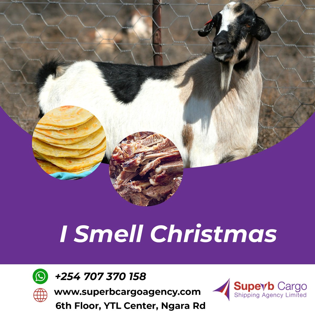 Christmas is here! Happy festive season!
#Superb #christmas2022