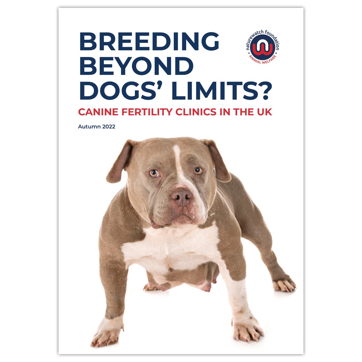 🩺 98% of veterinary professionals told us they’re concerned about #CanineFertilityClinics. 🐾

Find out why in our report:
naturewatch.org/wp-content/upl…

Don’t have much time? Read our at-a-glance version:
naturewatch.org/wp-content/upl…