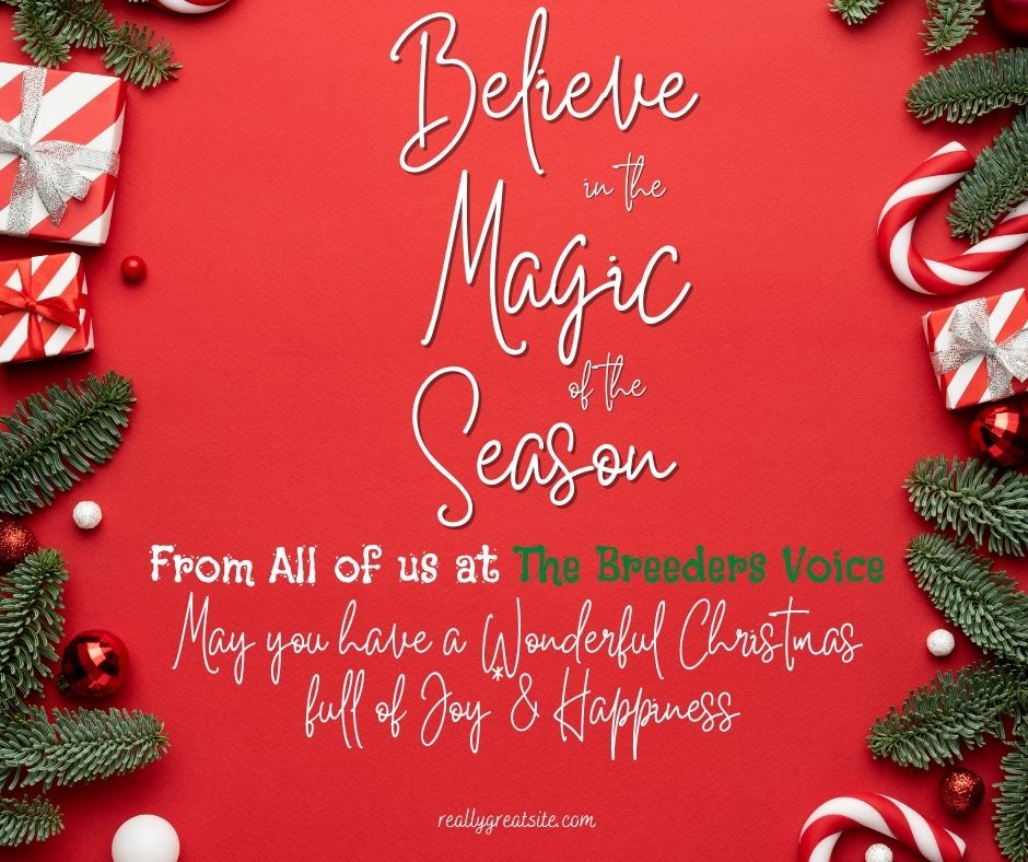 BreedersVoice's tweet photo. Best wishes for Christmas from all of us at The Breeders Voice - We will be back bigger and better in 2023 - Thanks for the support and lets Santa is good to us all https://t.co/jfm8pQRb7C