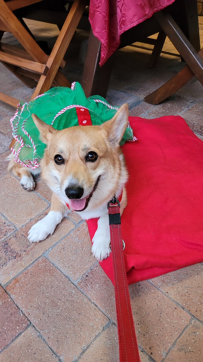 Thorgi wishes all a merry Christmas