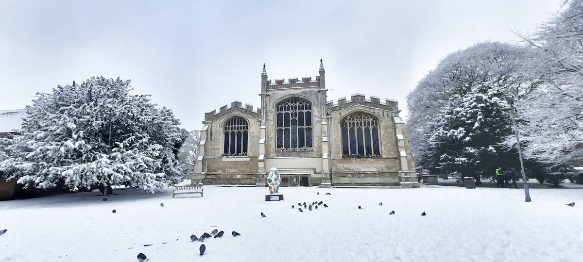 Danny Pearson •°○ 🛸 tweet media