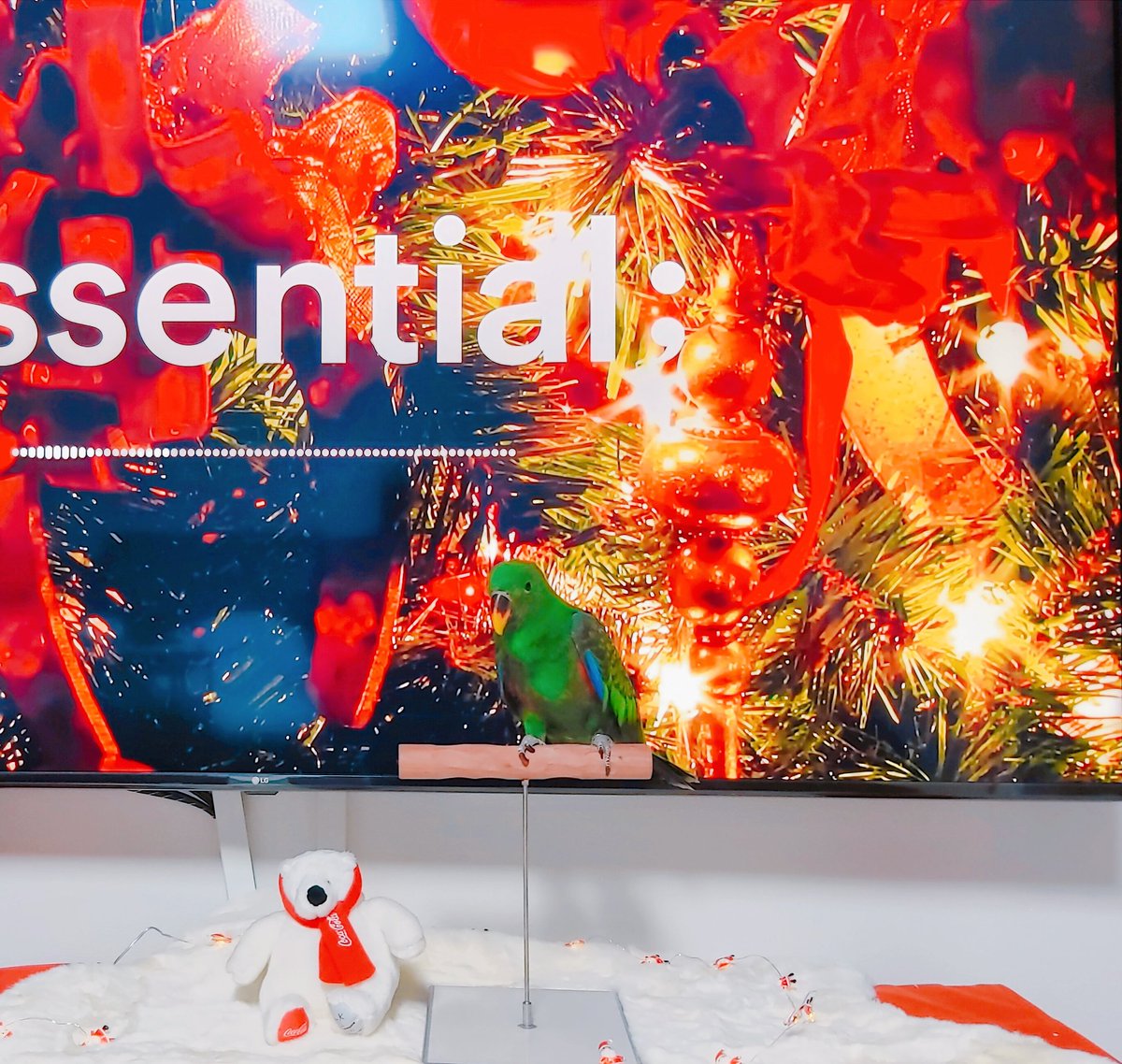 메리 크리스마스에요!