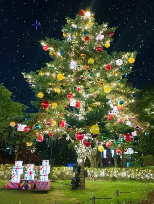 ben36524's tweet photo. 今年は外に行ってクリスマスの祝日の雰囲気を感じるしかありません。
来年クリスマスツリーを買って家に置いておきます。
クリスマスおめでとうございます。
友人たち. https://t.co/lWuXEXZyBs