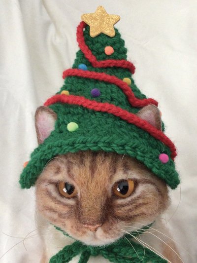 cats with their christmas tree hats