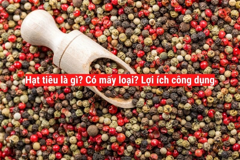 muoitomnhuy's tweet photo. Hạt tiêu là gì? tất tần tật mọi điều cần biết thú vị về tiêu
#hattieu #muoitieutayninh
Hạt tiêu là một loại hạt nhỏ và màu đen nhạt, có mùi và vị ngọt nhẹ hơn so với muối trắng thông thường.
Tham khảo thêm: https://t.co/Ab8gXRzppj https://t.co/xcvXYhhWgi