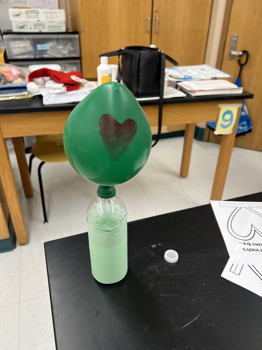 Vanessa Williams tweet media