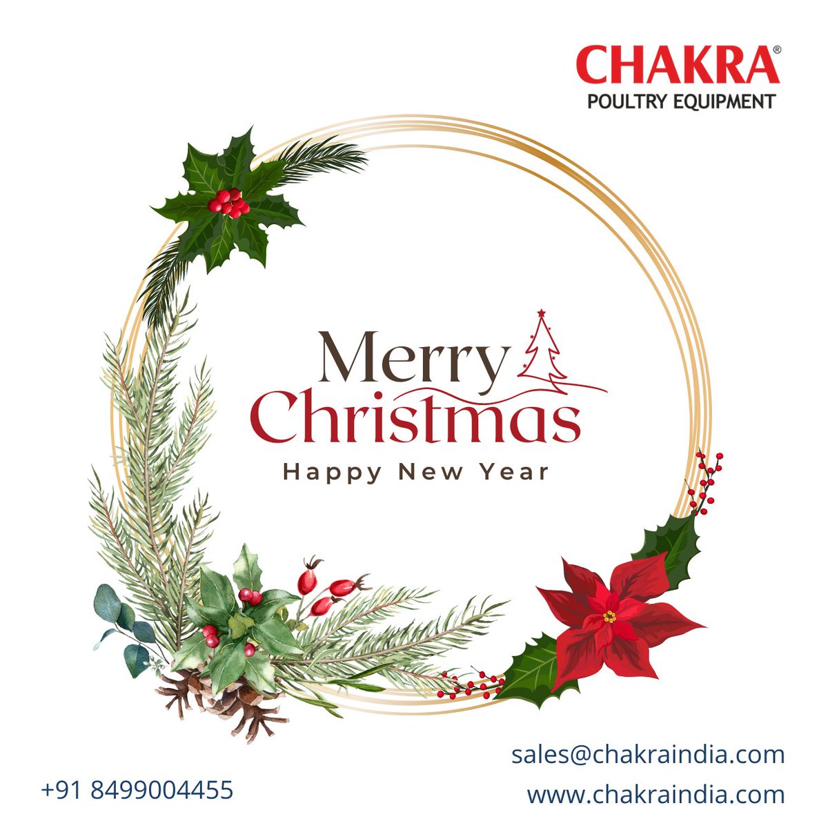 ChakraPoultry tweet picture