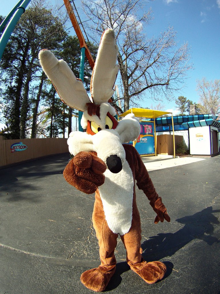 Wile E. Coyote (see pinned) (@wile_e_coyote1) / Twitter Wile E. Coyote (see pinned) (@wile_e_coyote1) / Twitter