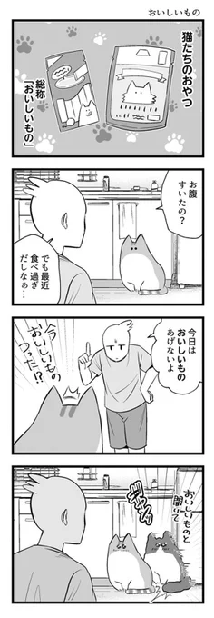 猫の前で『ある言葉』を発した飼い主 すると? 「言ってはいけない」 https://t.co/E6QKPM3BHD @grapeejpより 