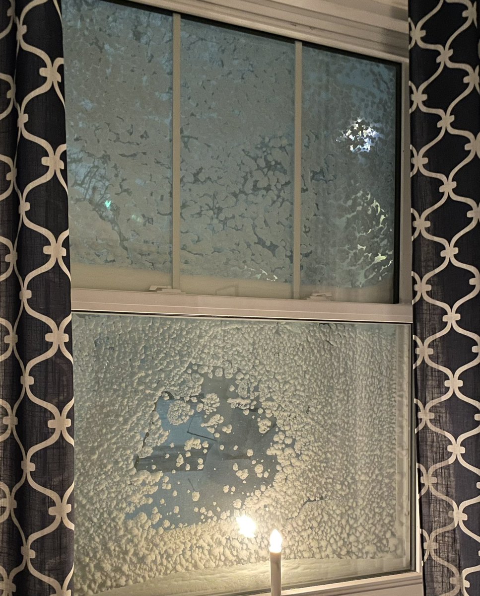 Layla_Border's tweet image. How am I supposed to protect my fambly from all the shouty wind, when I can't see what I should I should bork at?  
#bizzard #DogsofTwittter