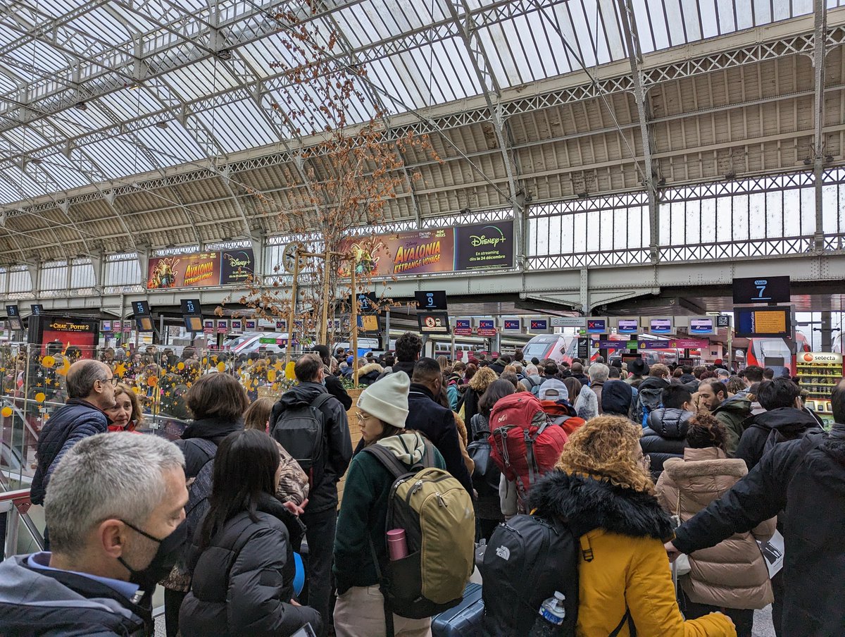 Cédric D tweet media