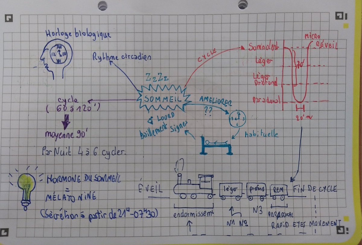 cyril_ducoudray's tweet photo. Dernier mind map de l'année avant une modernisation de présentation en 2023.
Je vous présente une petite partie du SOMMEIL by TOP ©☀️ https://t.co/61uiCDDBCe