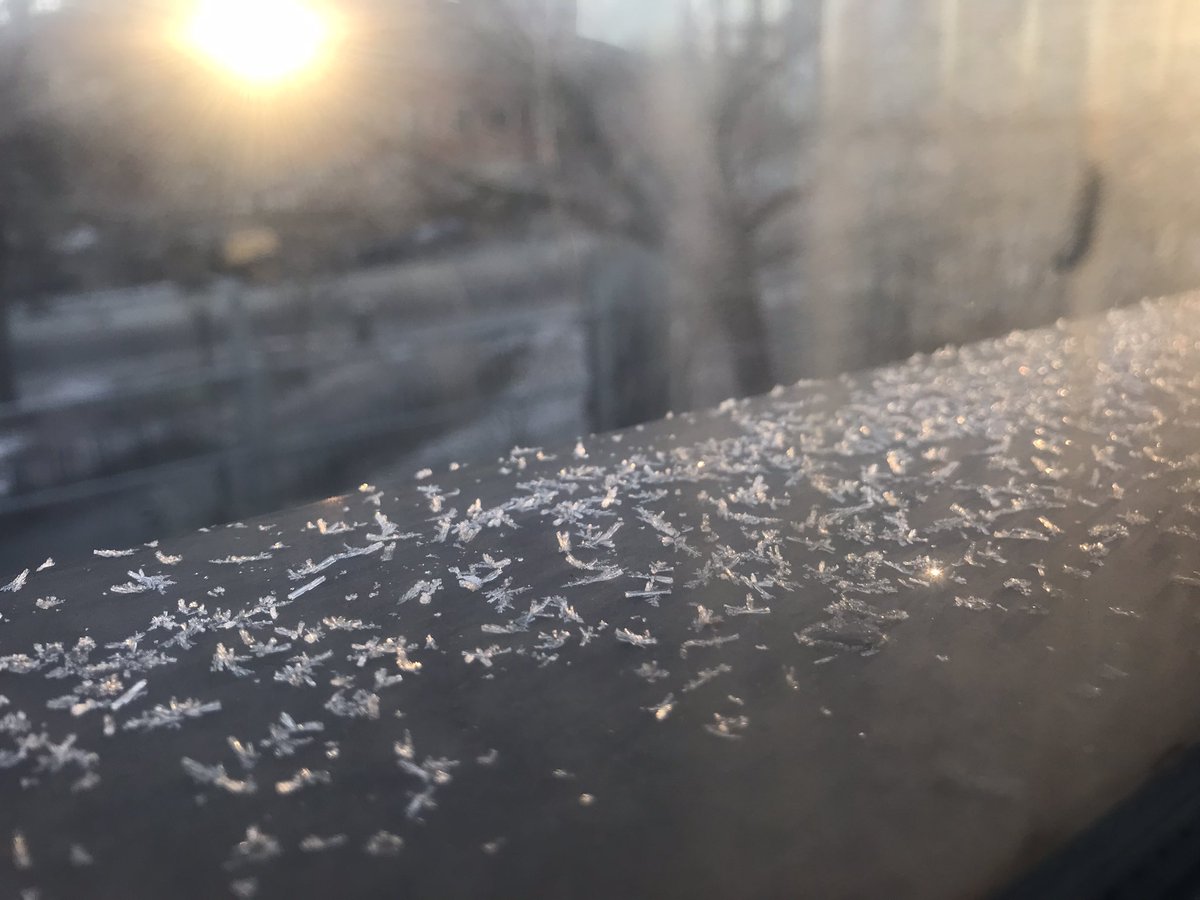 Luuux_5's tweet photo. ストックホルムは-8°で結晶がキラキラな土曜日ですおはようございます。 https://t.co/Y9wEBgwCay
