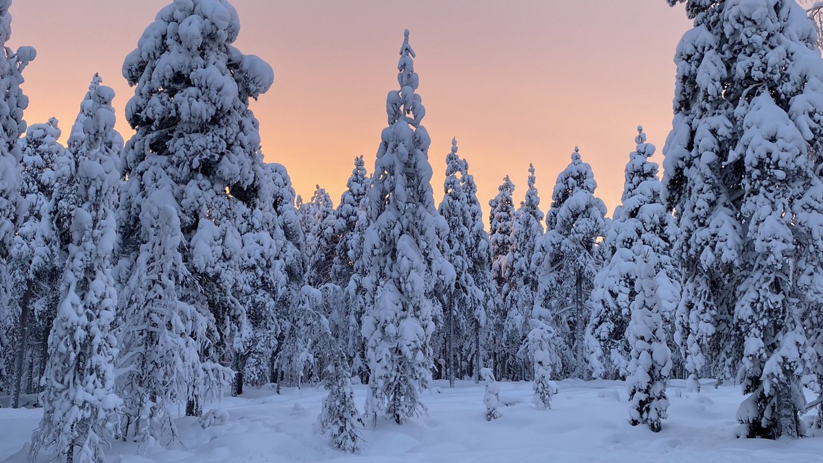 Happy and relaxing Holidays!