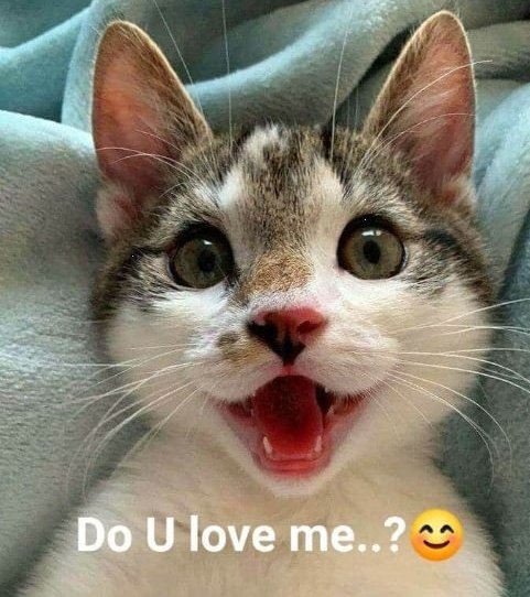 Sarah Ghalin ๐๐บ๐ธ๐โ๐๐๐ถโ (@sarahghalin) on Twitter photo Good morning & Happy Holidays my beautiful Tweeters ๐ค๐โ๐๐๐
โ๏ธ๐โ๐จ๐จ Good morning & Happy Holidays my beautiful Tweeters ๐ค๐โ๐๐๐
โ๏ธ๐โ๐จ๐จ