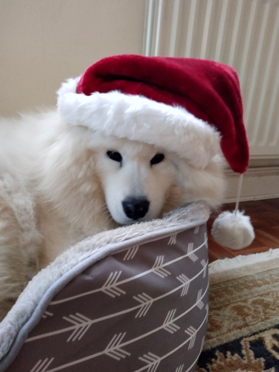 Mike Bainbridge tweet media