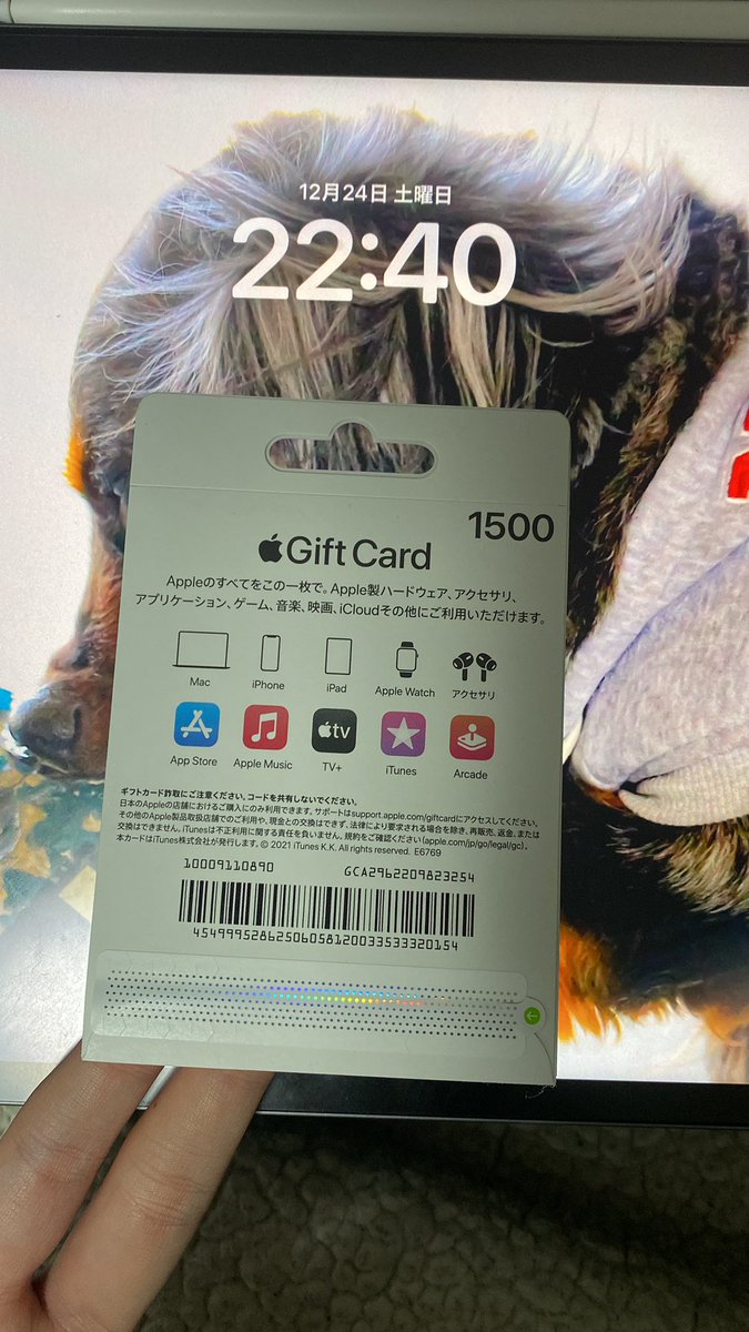 うさっさ tweet media