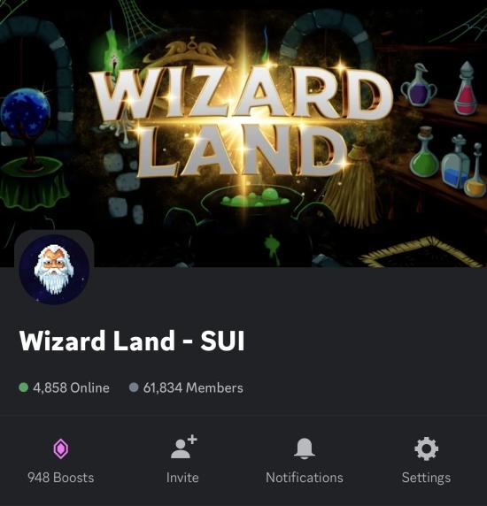 Wizard Land tweet media