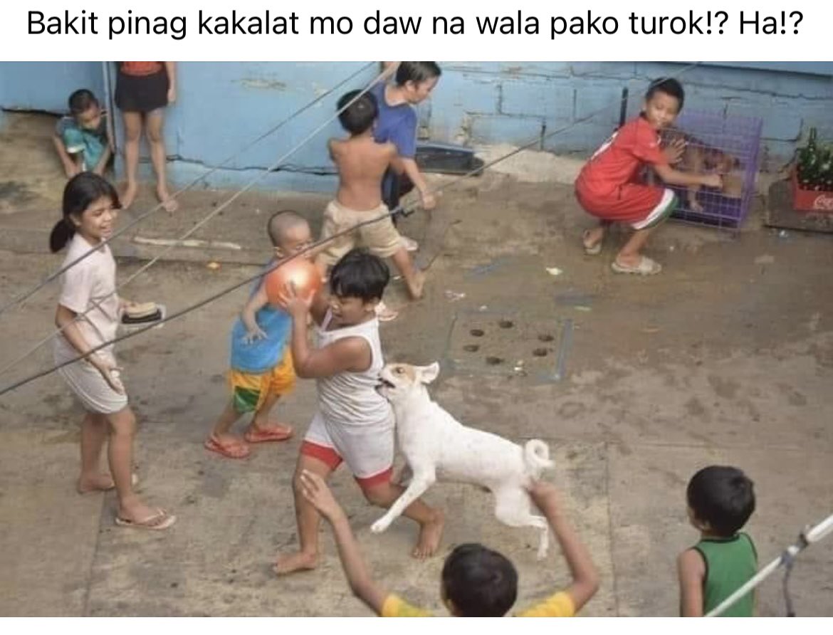 opmhugot's tweet photo. https://t.co/zzdZl0FDyK