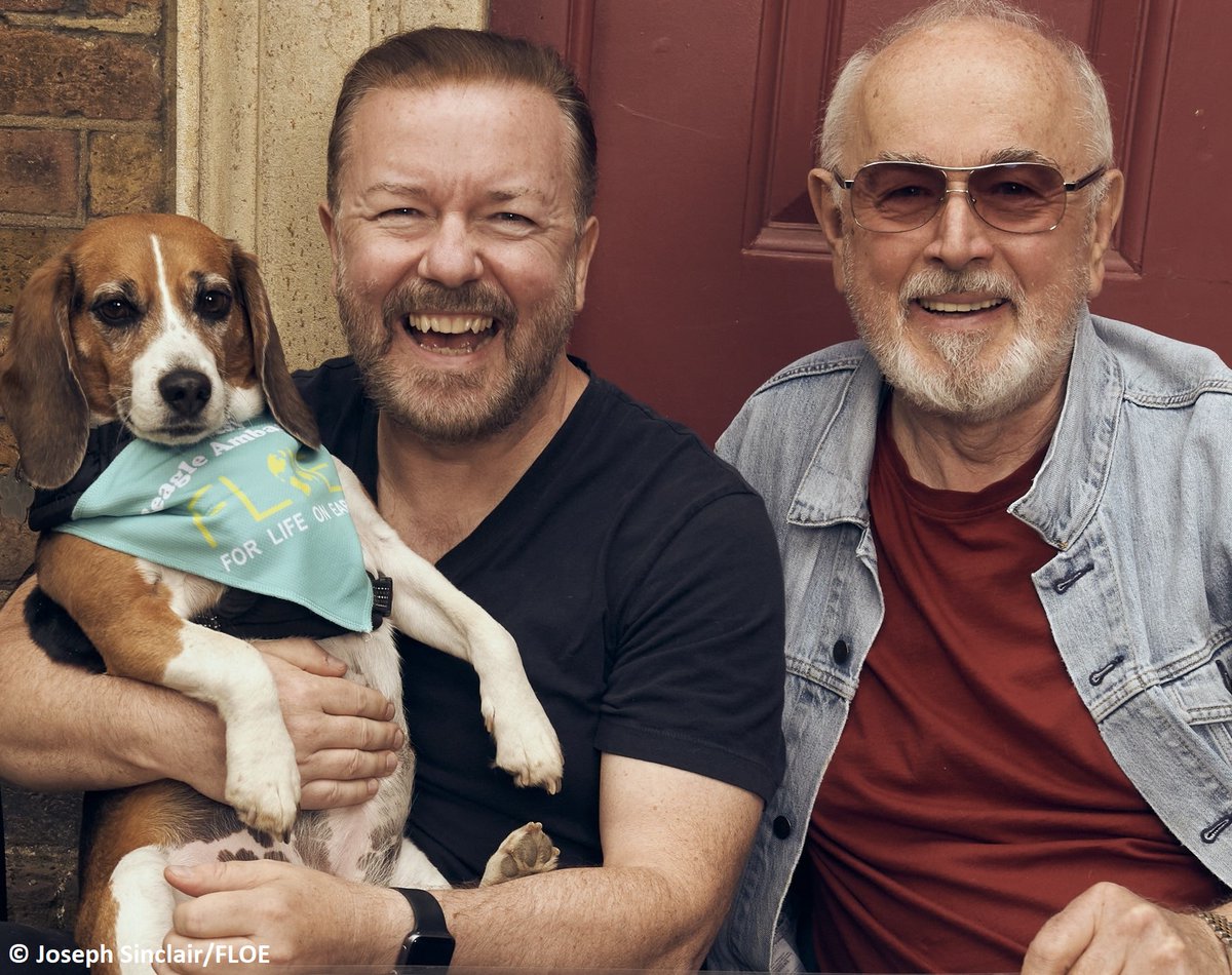 BetsyAmbassador's tweet photo. BREAKING NEWS! The US Congress votes to remove old laws which mandate the use of animal experiments in drug development. This means human-relevant #science can take over from the failed practice of animal tests. 🎉❤️🐾 

@rickygervais @RishiSunak @AP #EndAnimalTesting #Dogs https://t.co/p1bFlPAewi