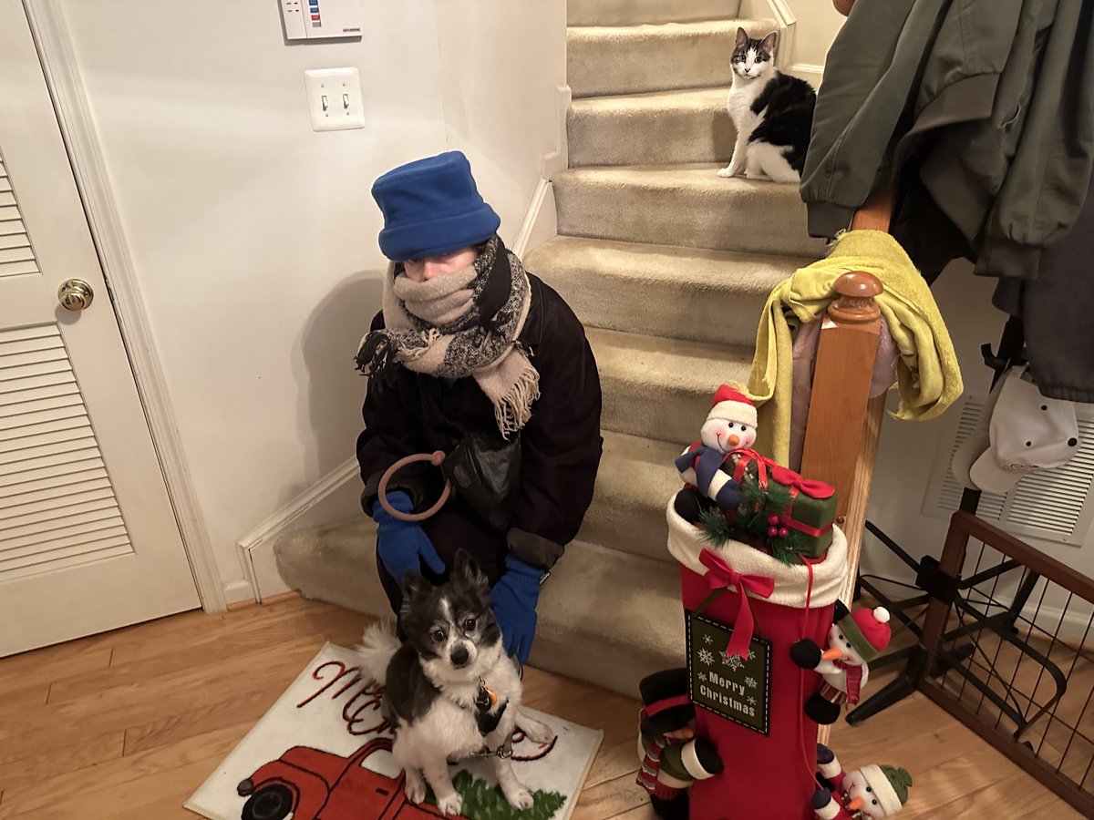 lisaontheradio's tweet photo. Dog walking when it’s 4 degrees with a windchill of 10 below. Can’t remember the last time it was this cold in DC. Bundle up! #christmaseve #dogwalking #winterindc #dogmom https://t.co/jVyt2uOIJx