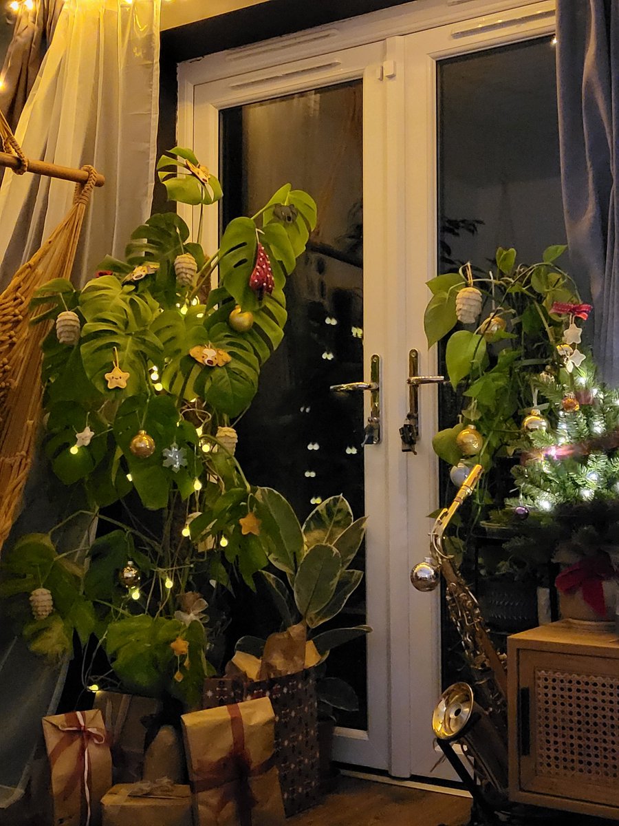 Voxels's tweet photo. Who needs a christmas tree when you have a monstera https://t.co/2AOnEpHoXH