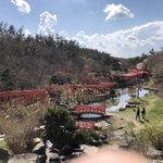 魔神オレンジジュース（シャキシャキ）のツイート画像
