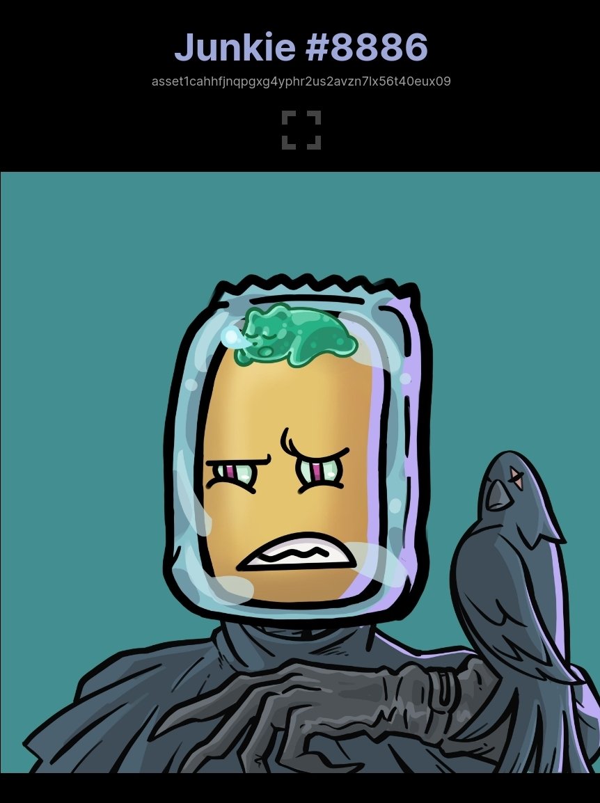 BizarreBadGuy tweet media